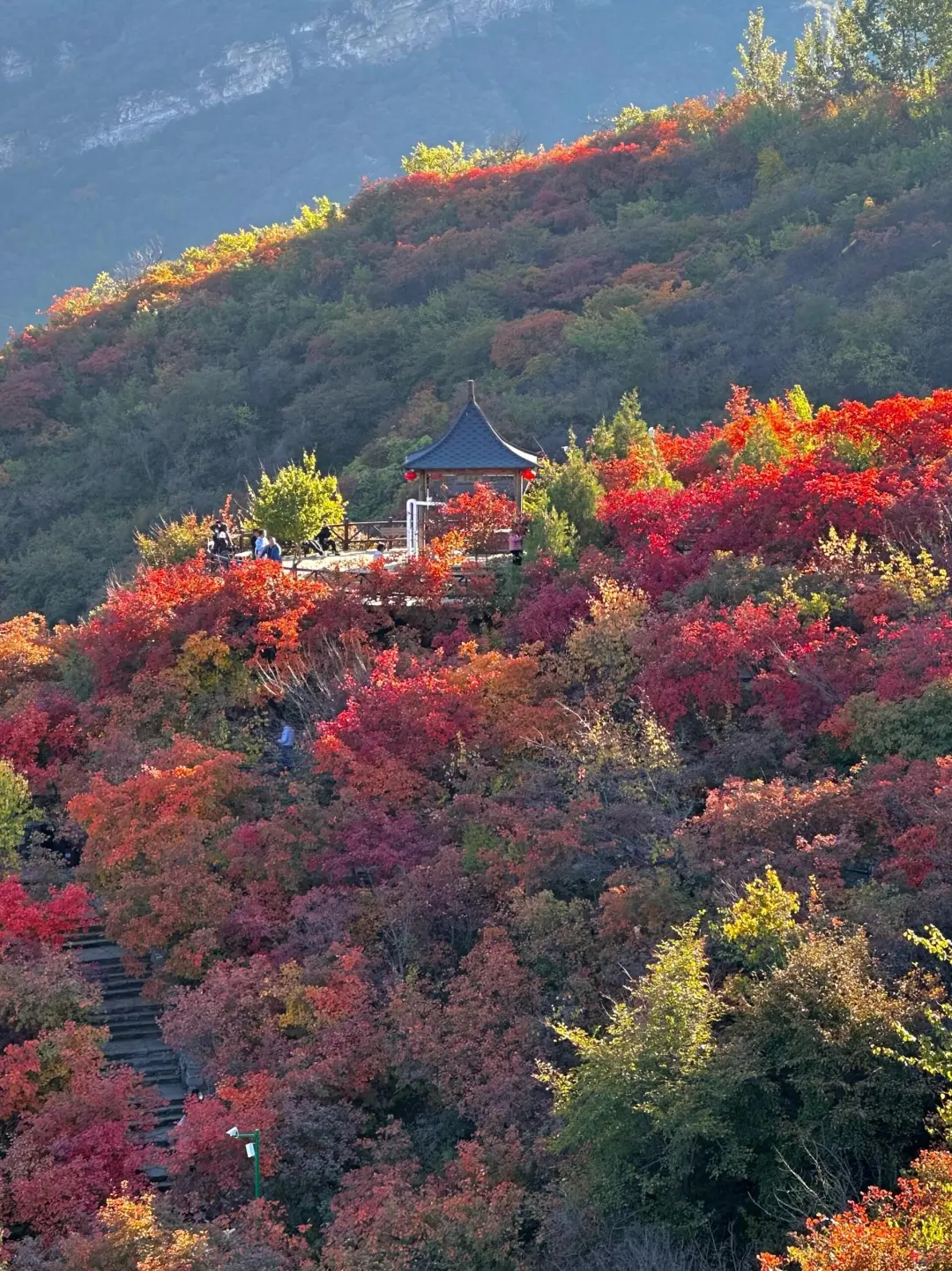 每周一针，本次打卡坡峰岭~附攻略