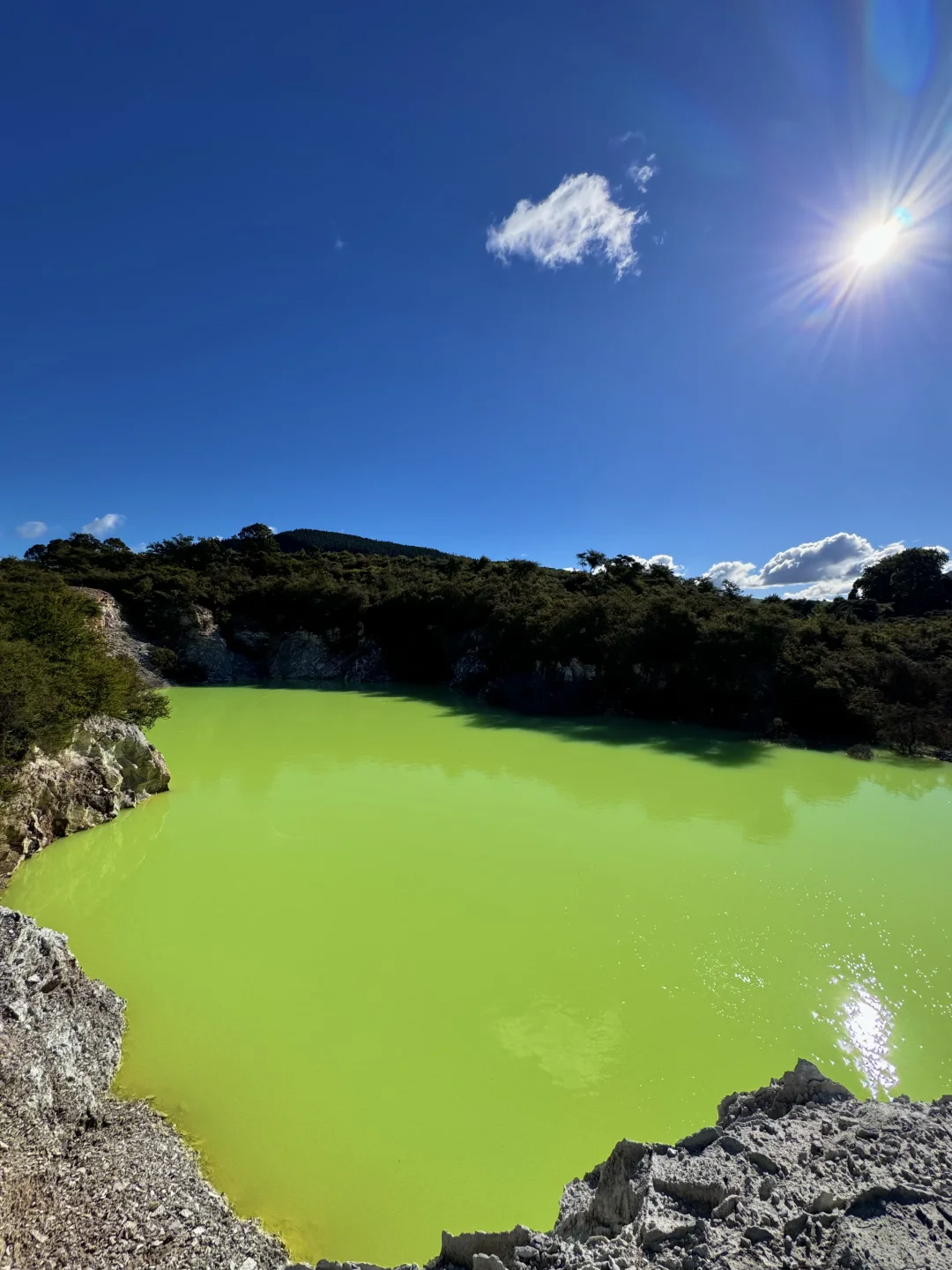 旅行结算｜我的年度live图