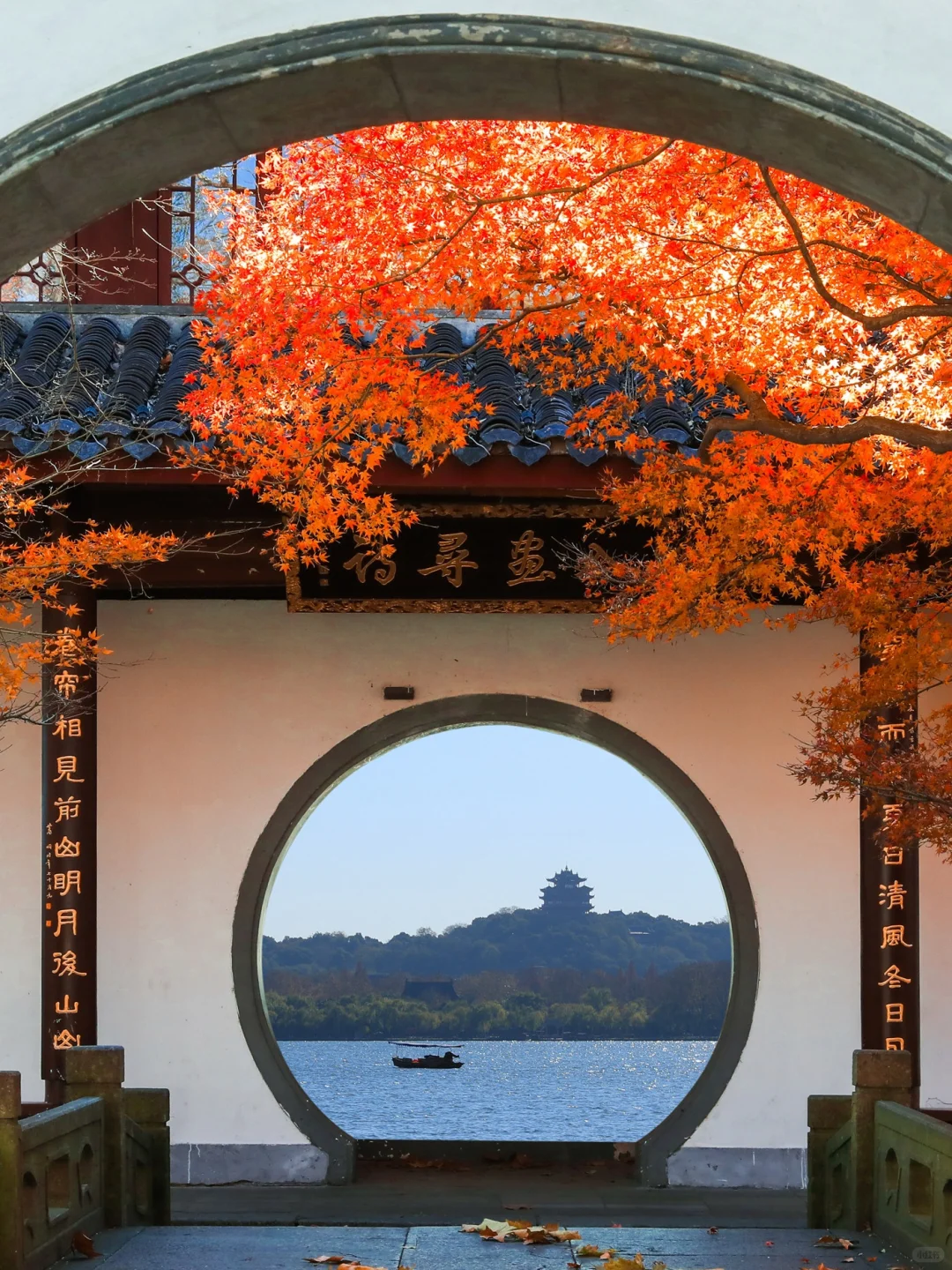 杭州最美的秋景都是免费的🍂附机位！