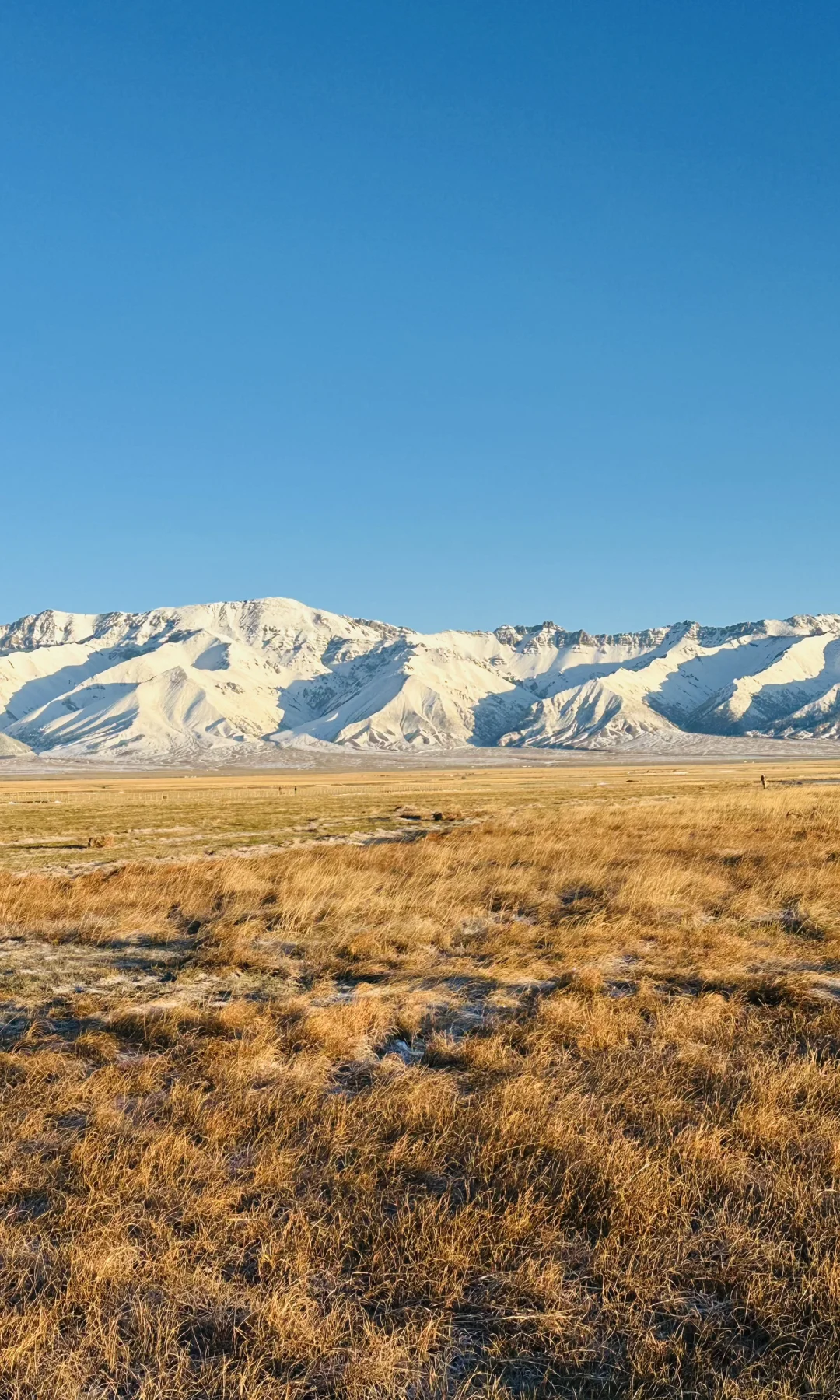 赛里木湖收到了初雪的情书