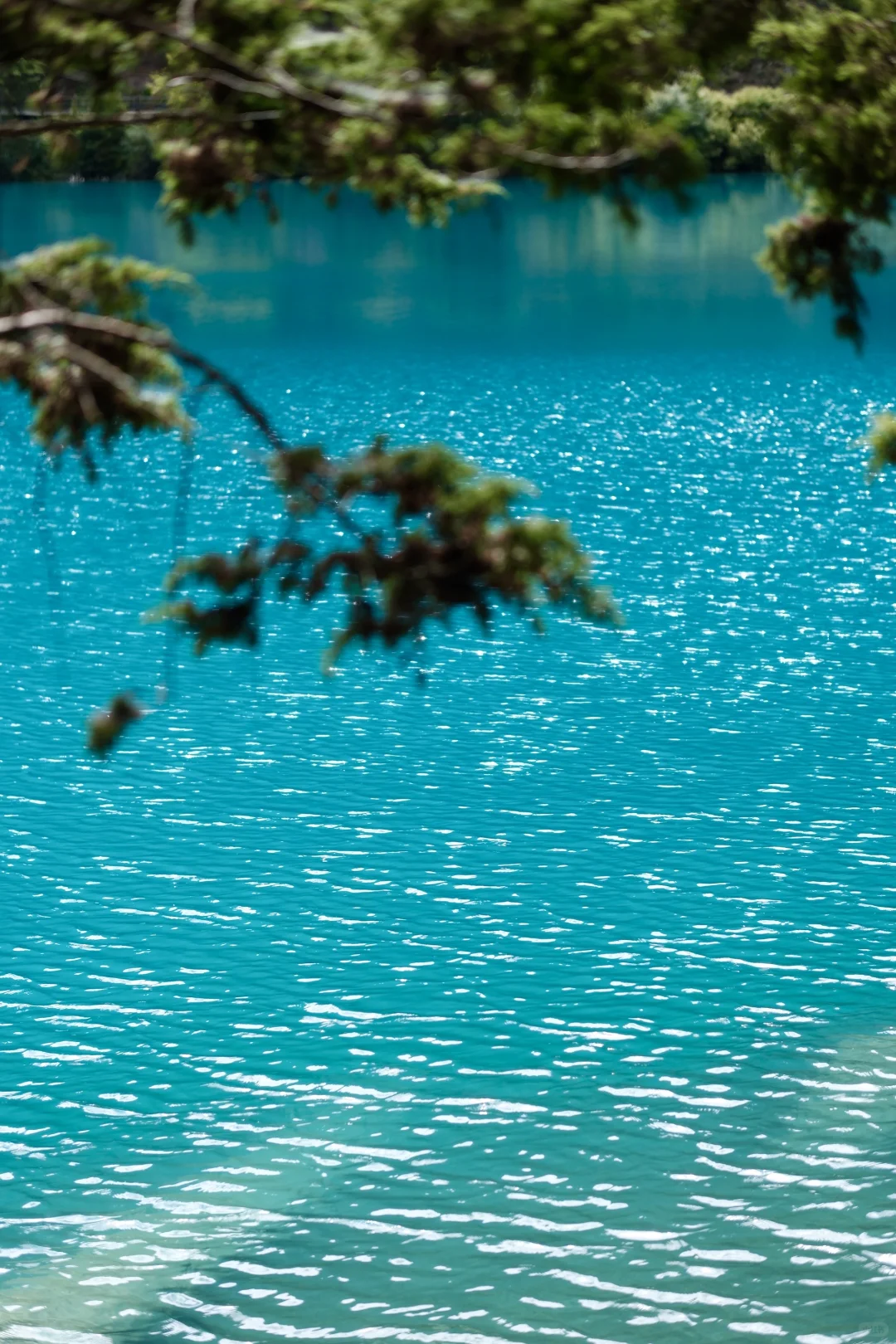 📍JiuZhaiGou 九寨沟