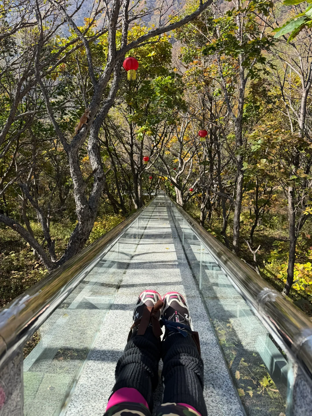 独属北京十月的绝美风景📍百瑞谷保姆级攻略