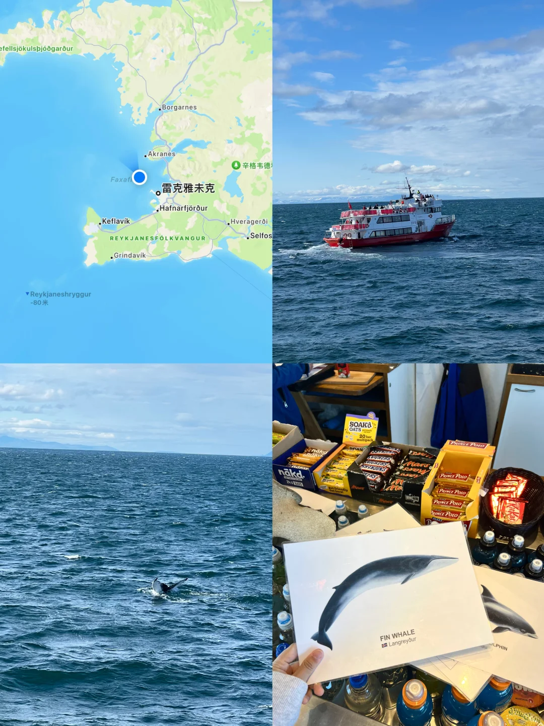 冰岛七天旅行攻略（无车版）看这一篇就够啦！