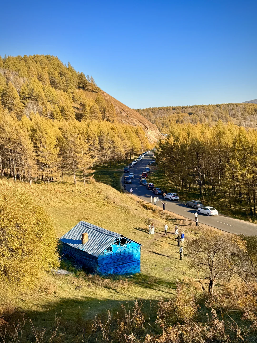 大兴安岭❗️没有一个地方比呼伦贝尔更懂秋天