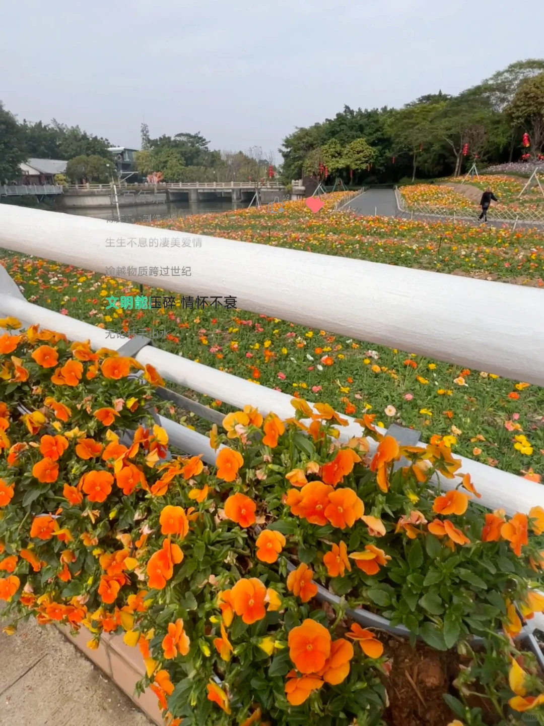 请接收你的旅游歌单🎵