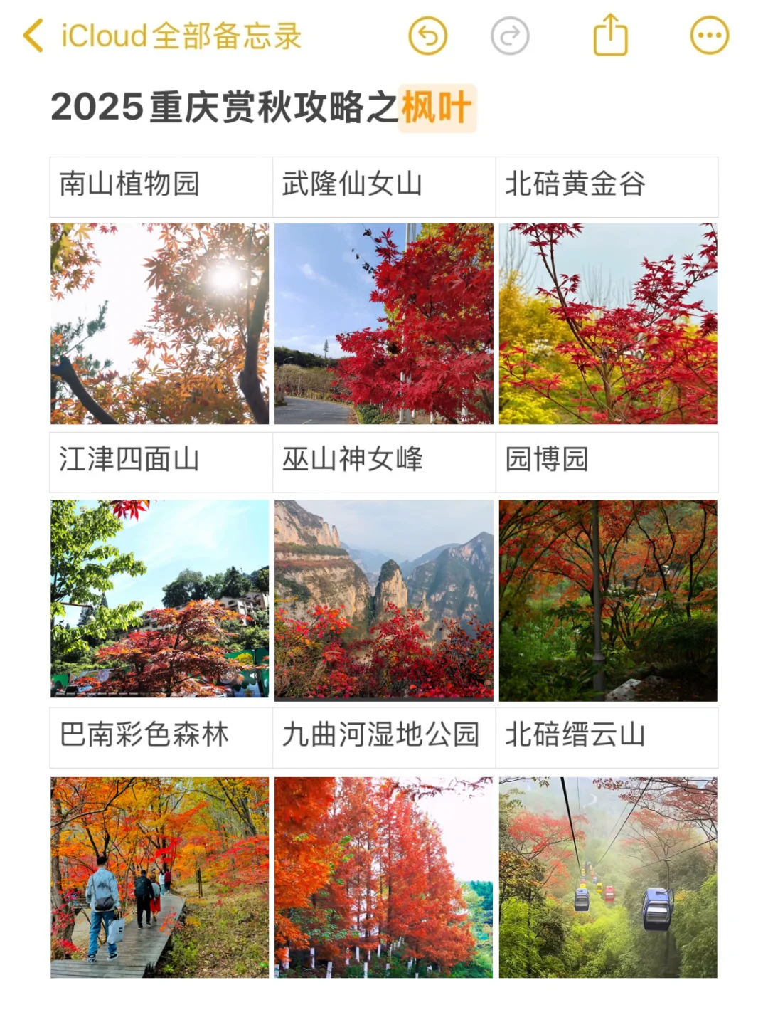 2025重庆赏秋时刻表📅