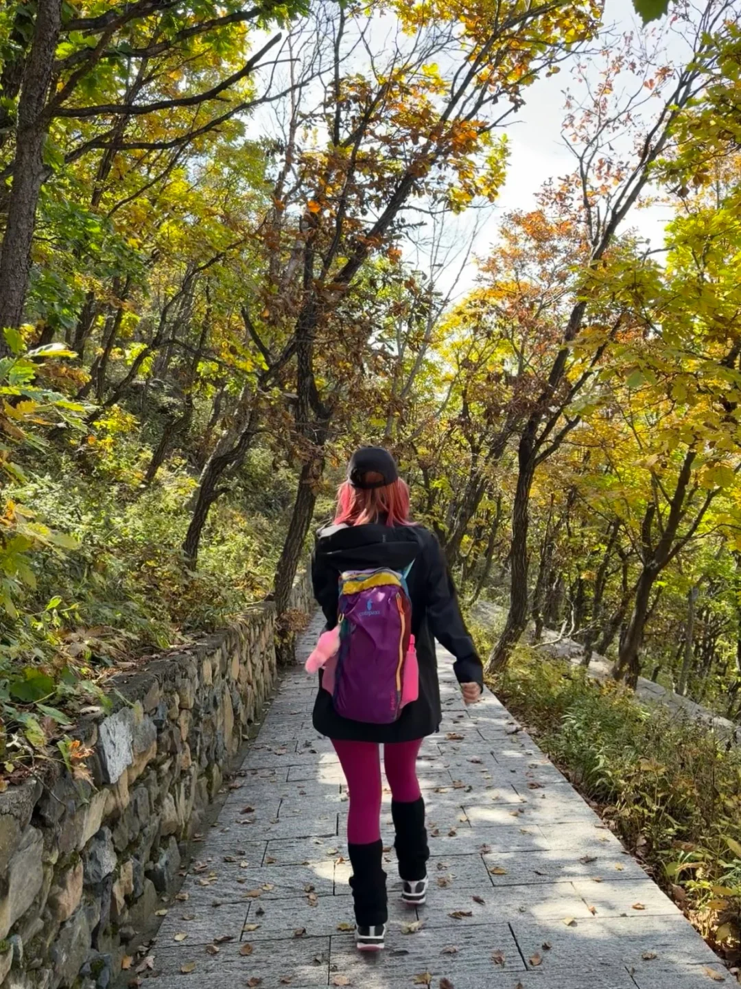 独属北京十月的绝美风景📍百瑞谷保姆级攻略