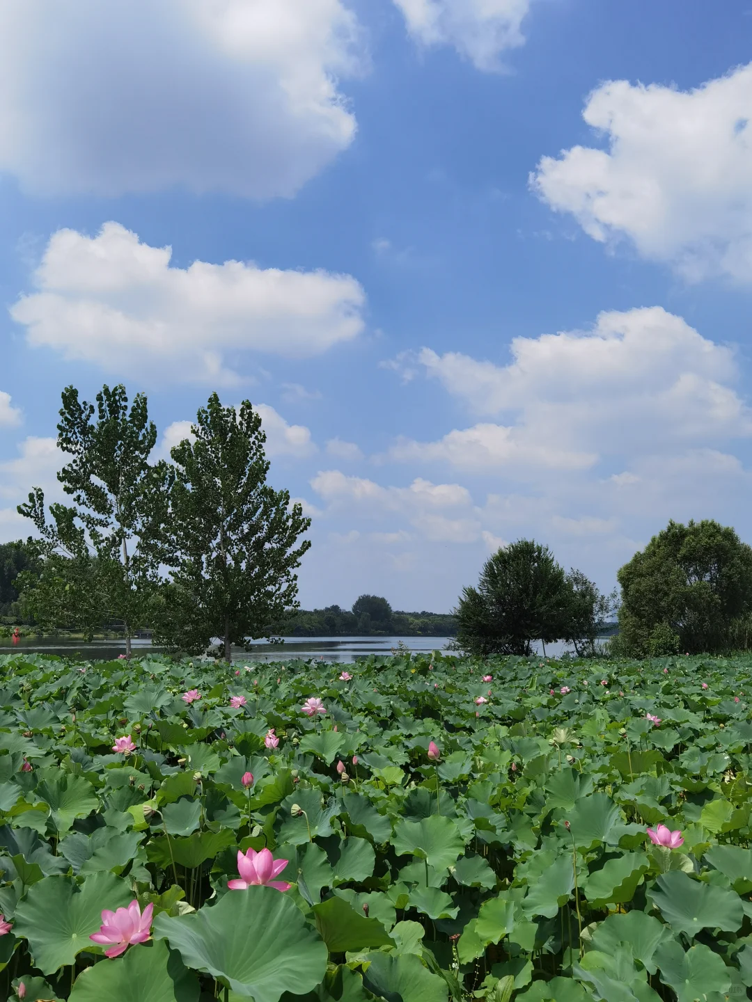 北京必打卡|通州大运河文化旅游景区