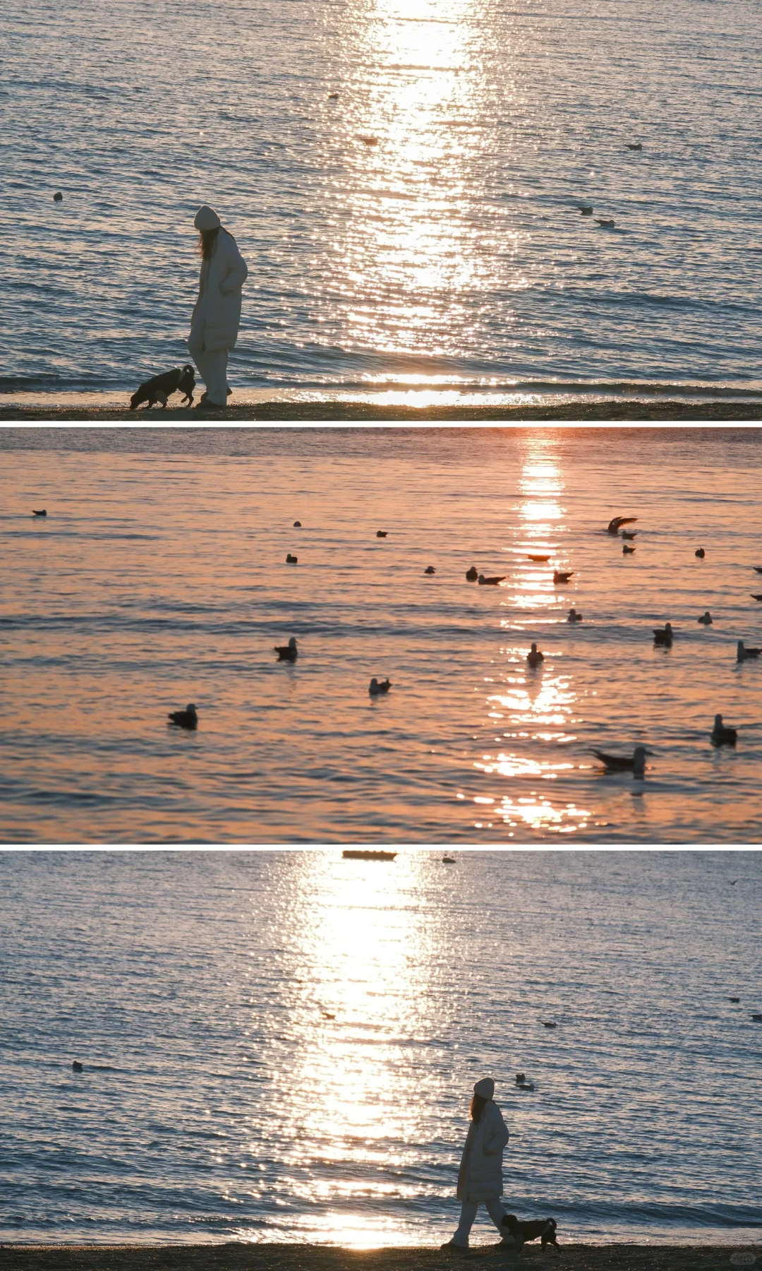 接下来的大连🌊