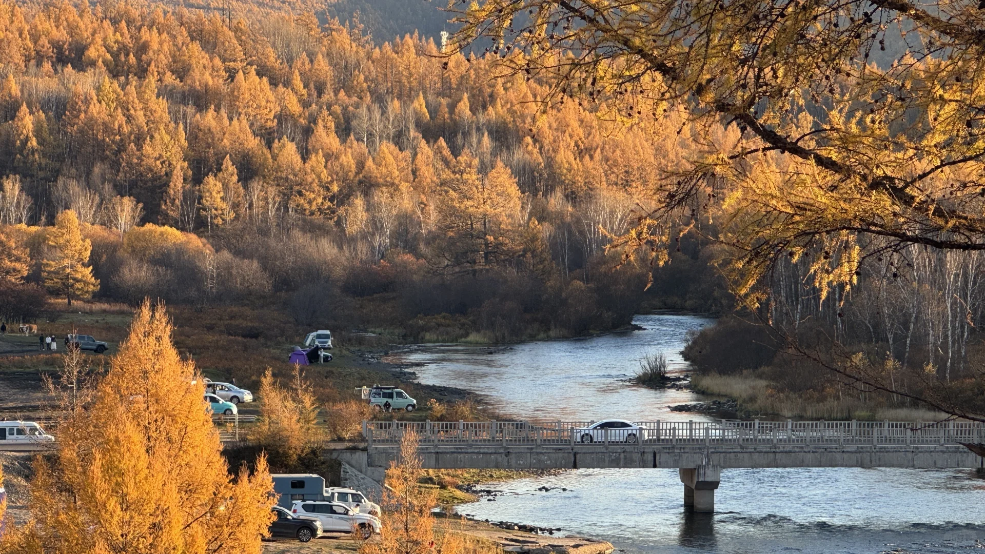 阿尔山怎么美成这样🍂‼️