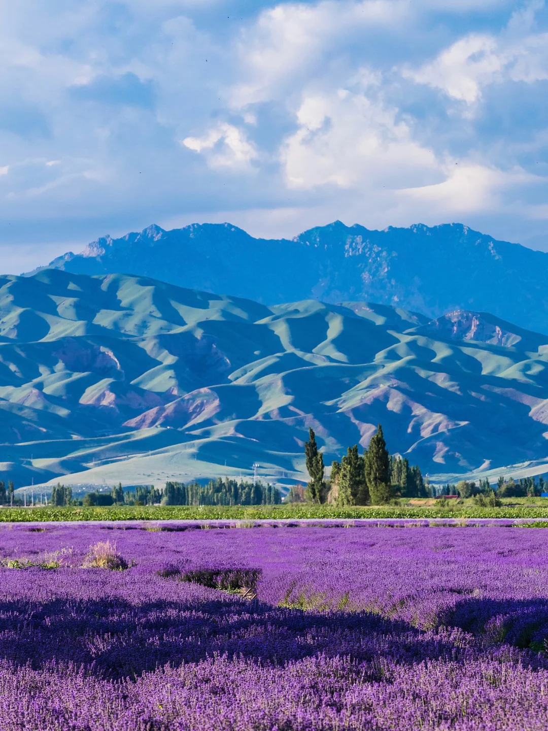 7-8月不去伊犁!就错过了最美的新疆!