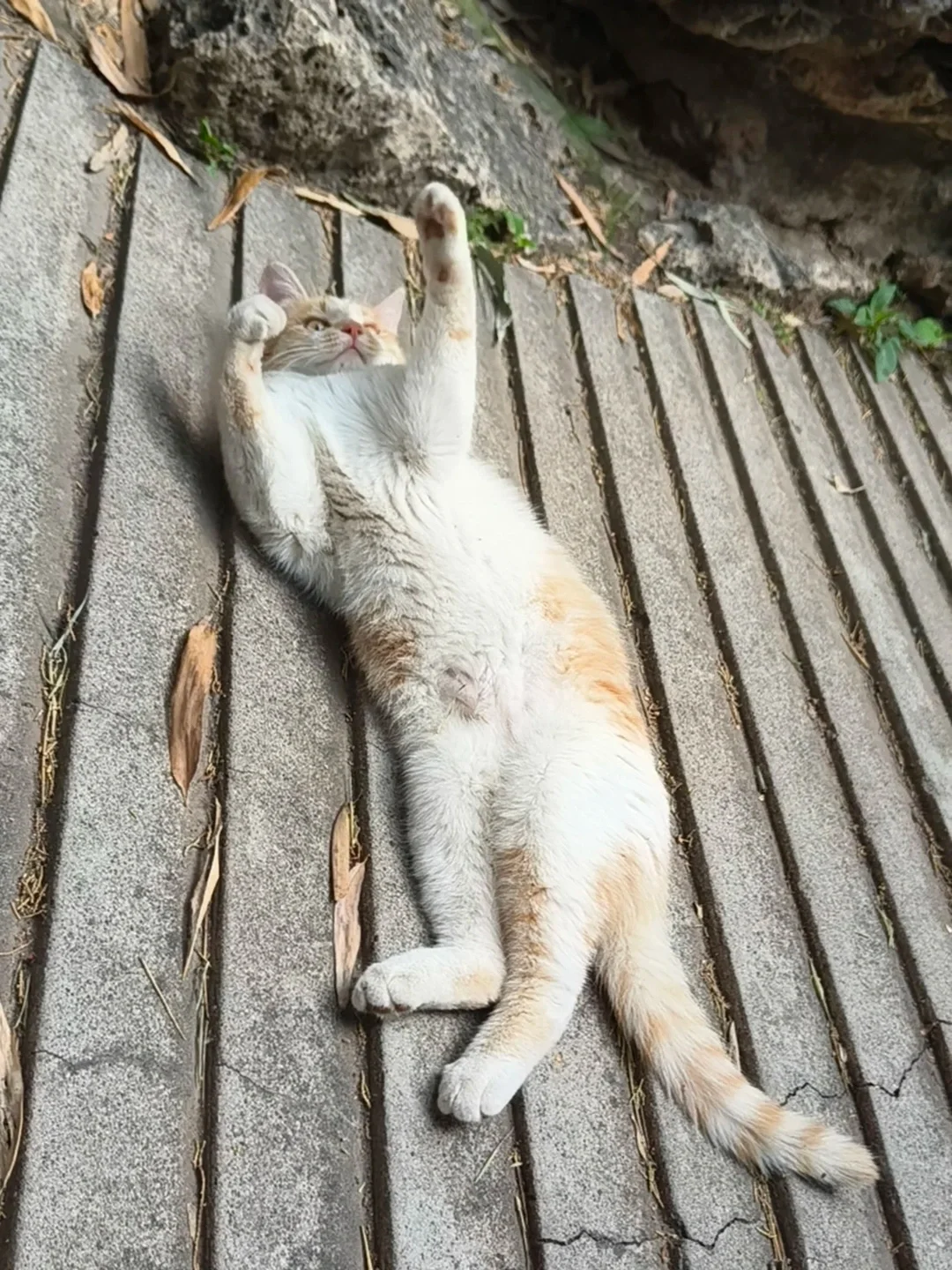 海淀最会玩的女大！必玩公园Top前三！