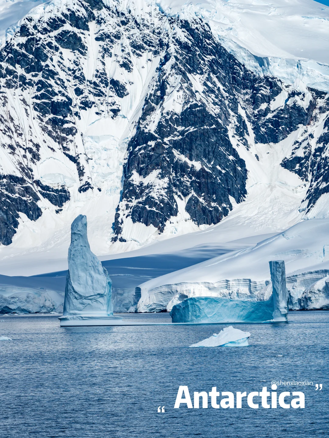 买了新手机，又花了15w，辞职去南极‼️