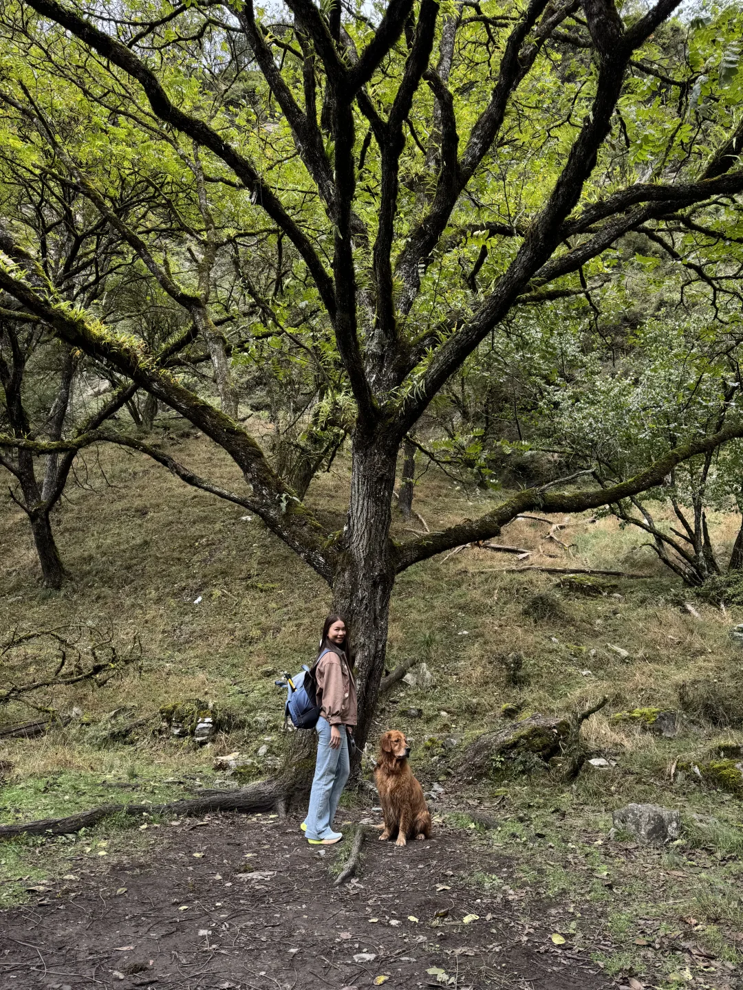 带狗狗去喇叭河的注意了⚠️看完这篇不踩雷