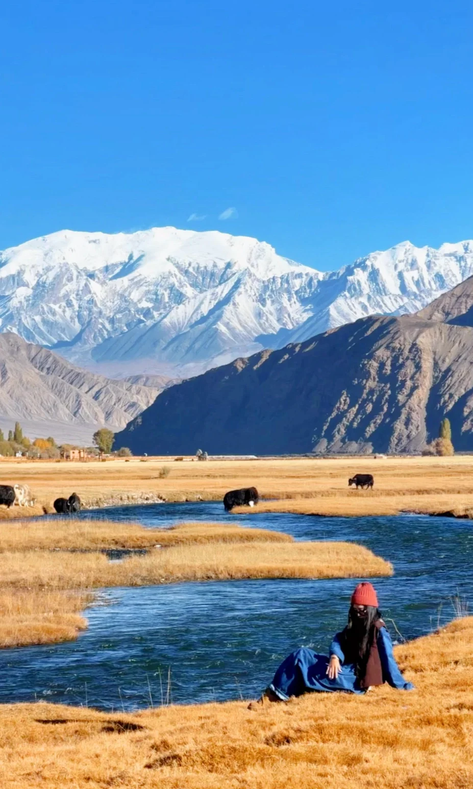 全屏live | 南疆秋天最好的地方都是免费的