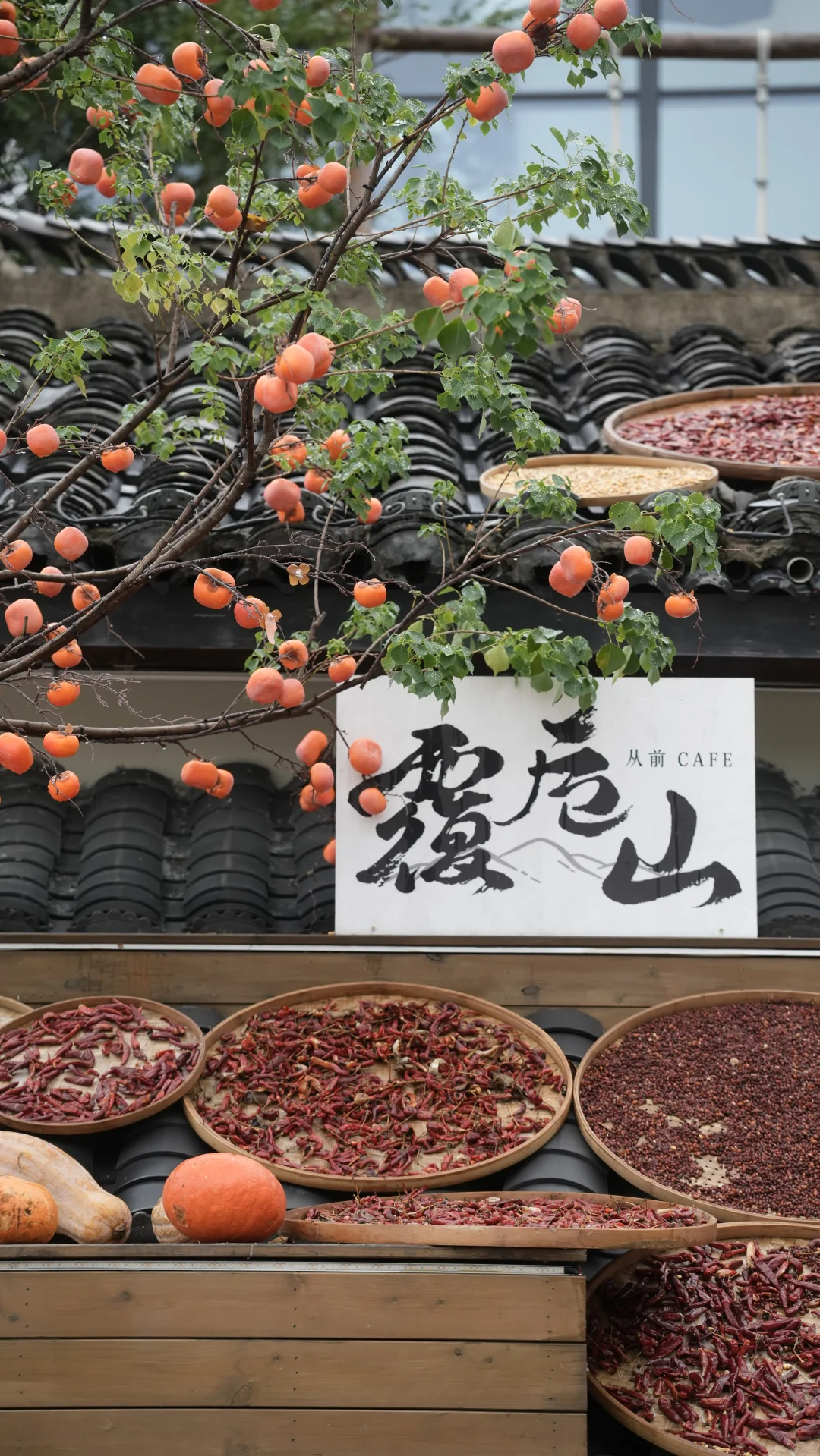 上海出发 江浙徒步 周末去哪里｜覆卮山⛰️