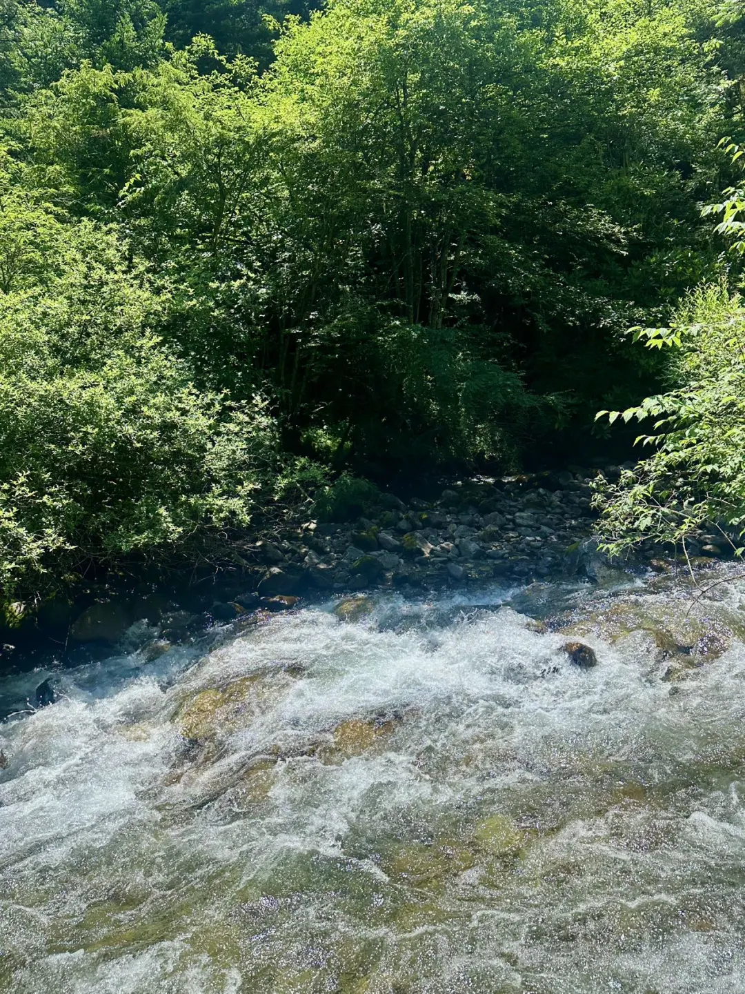 📍去川西真的要进行一次大采购。。。