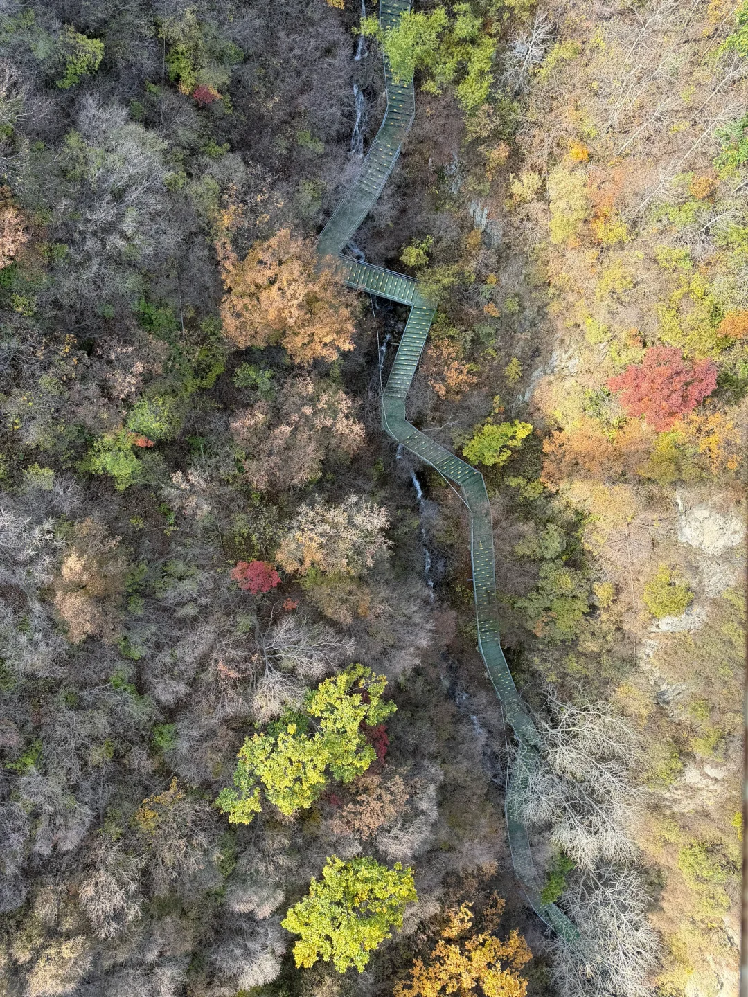 独属北京十月的绝美风景📍百瑞谷保姆级攻略