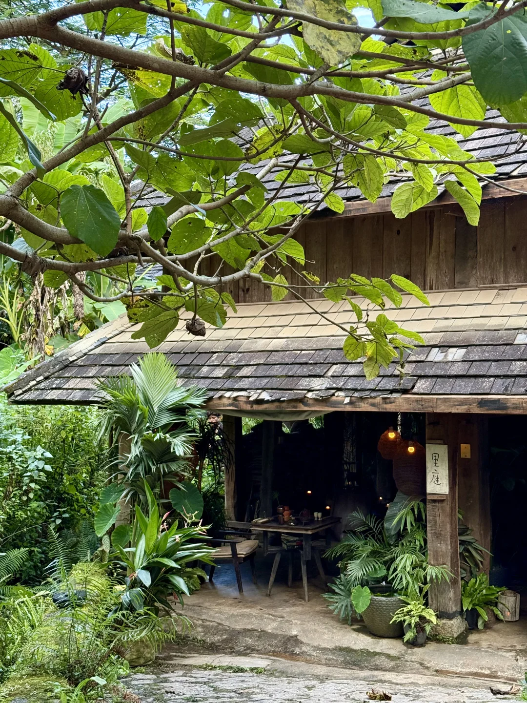 景迈山 ｜糯干古寨