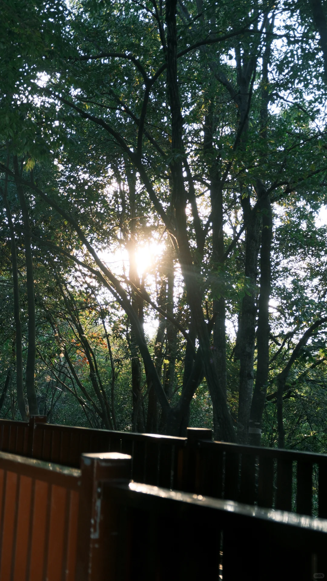 张家界攻略不求人篇！两天一夜