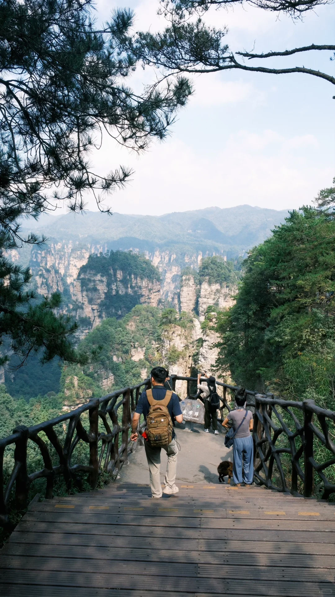 张家界攻略不求人篇！两天一夜