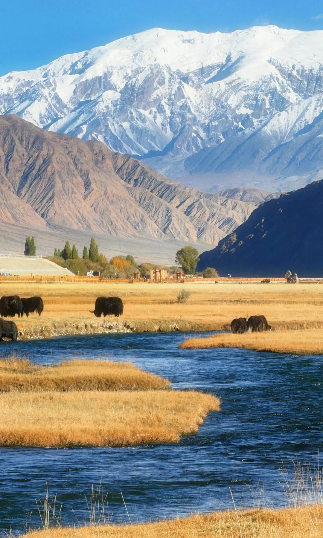 10月份的南疆绝了!很难没有戒断反应。。。