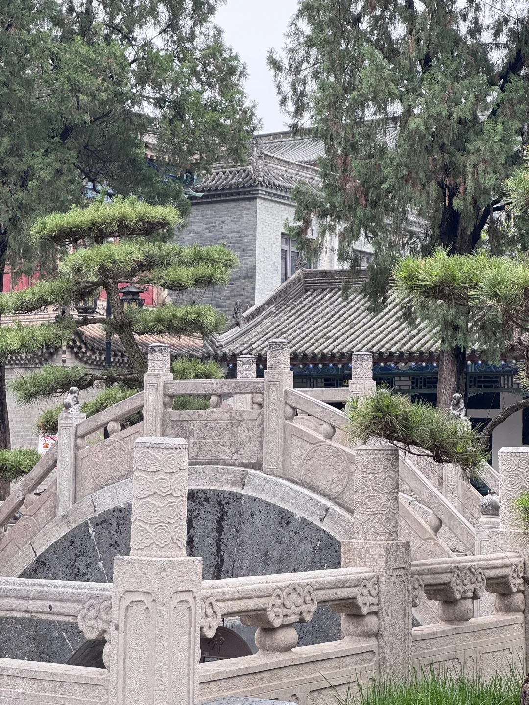 拍婚纱照都去八仙庵了？