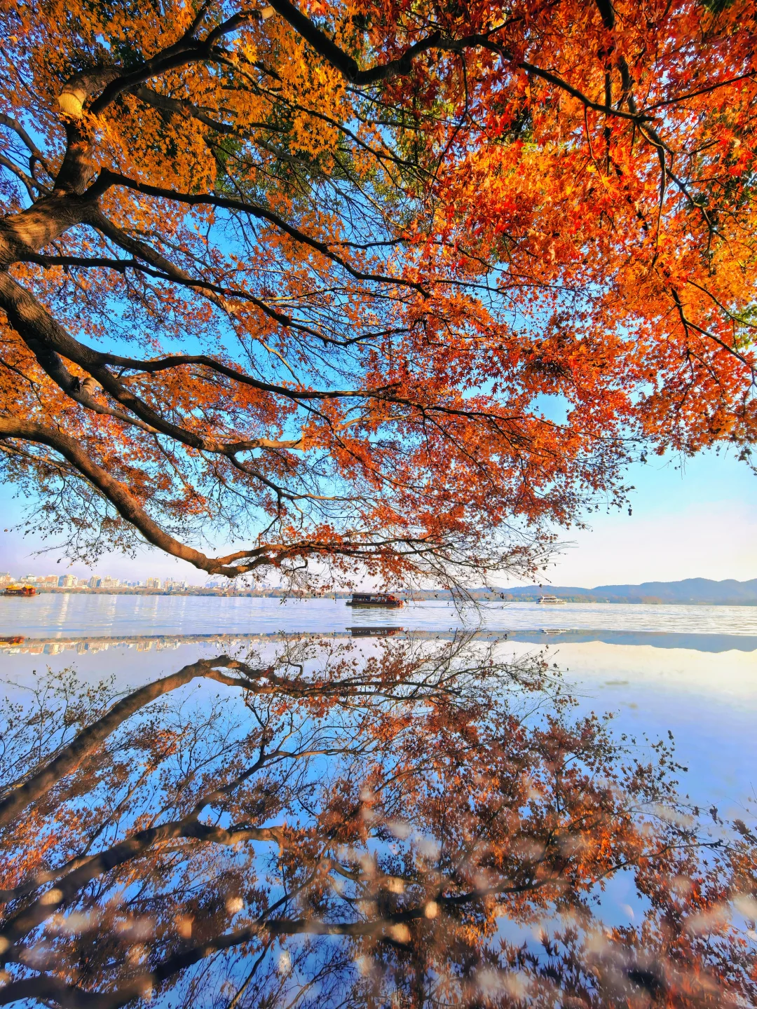 杭州最美的秋景都是免费的🍂附机位！