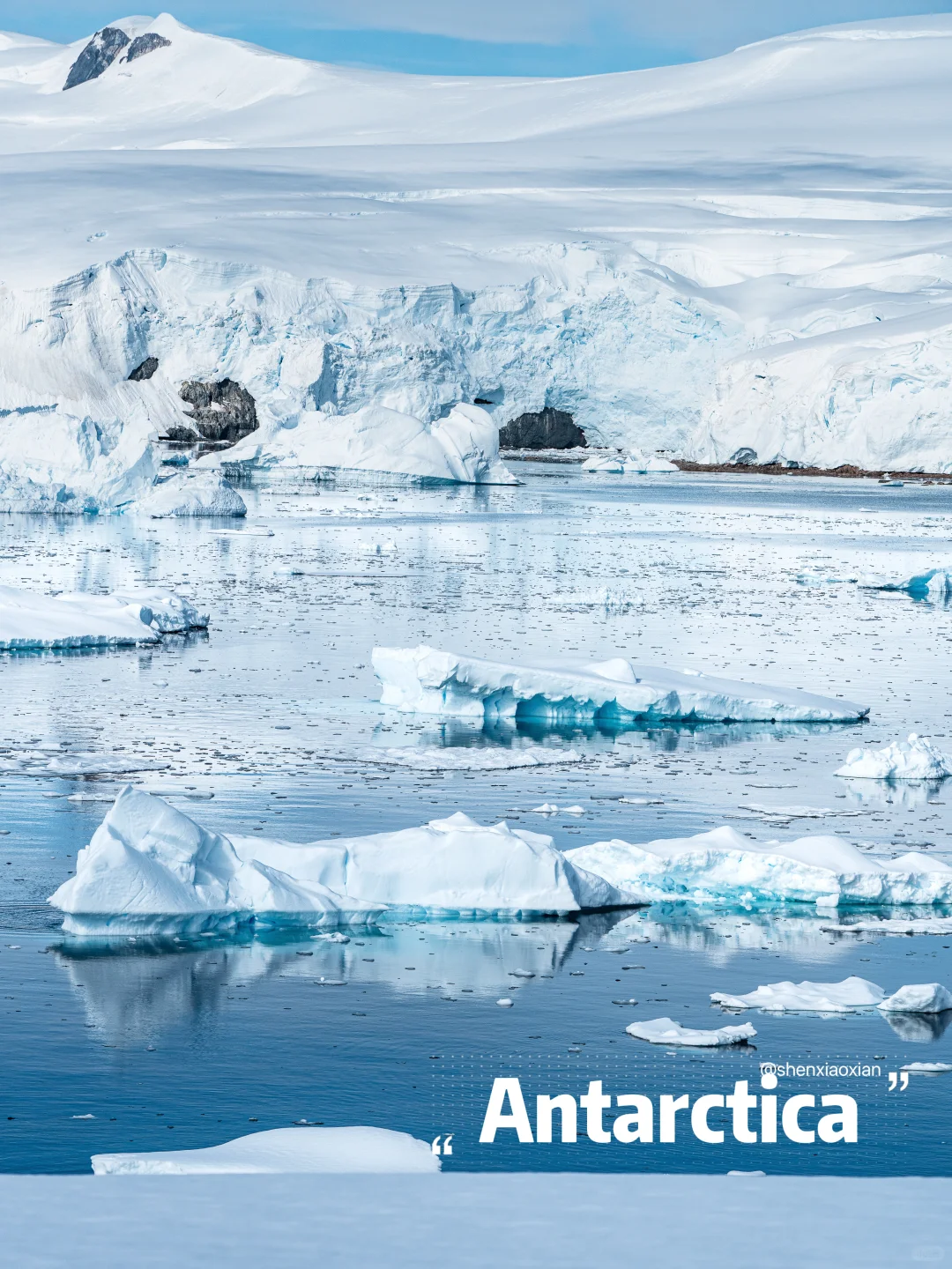 买了新手机，又花了15w，辞职去南极‼️
