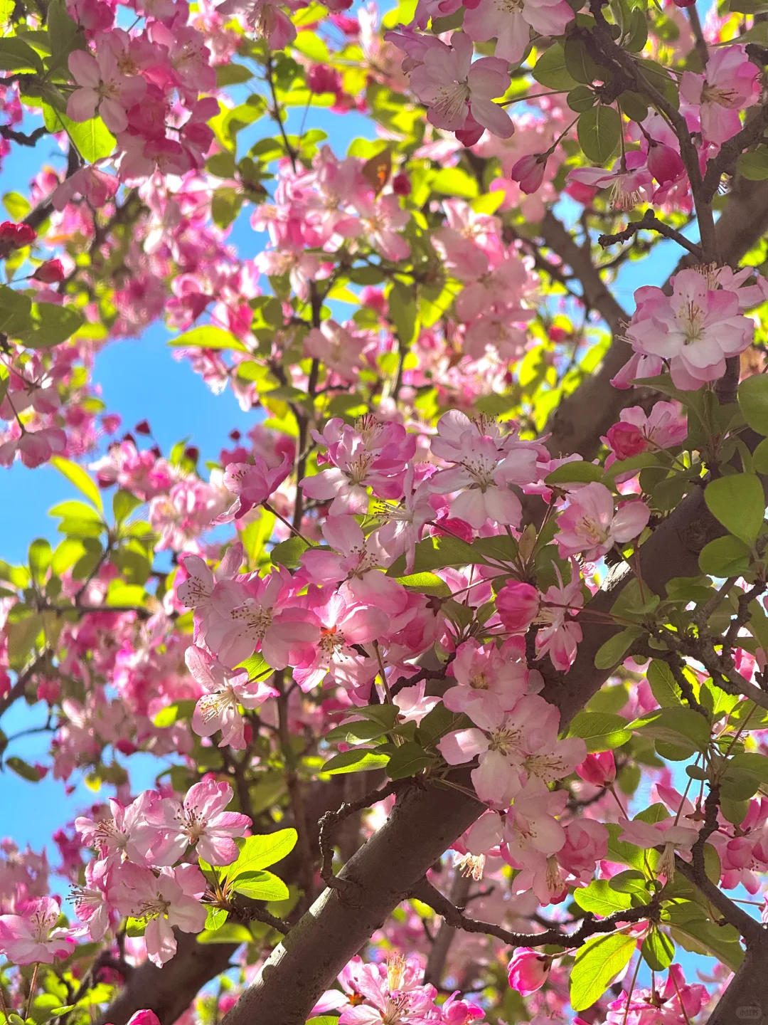 这辈子都舍不得删的live图…