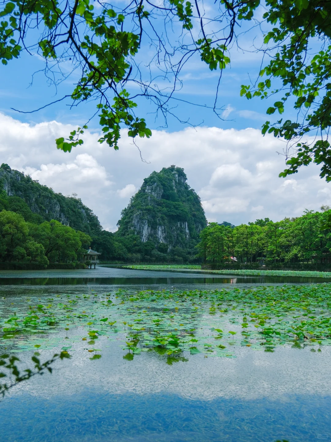 广东七星岩 | 舟行碧波上，人在画中游