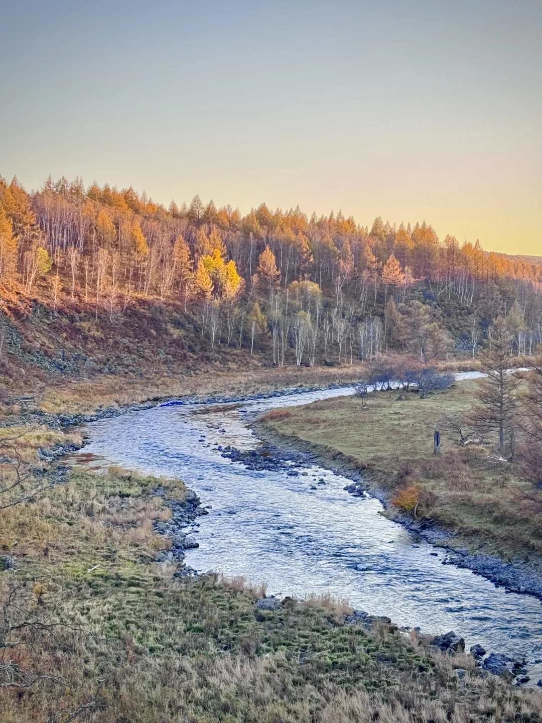 大兴安岭❗️没有一个地方比呼伦贝尔更懂秋天