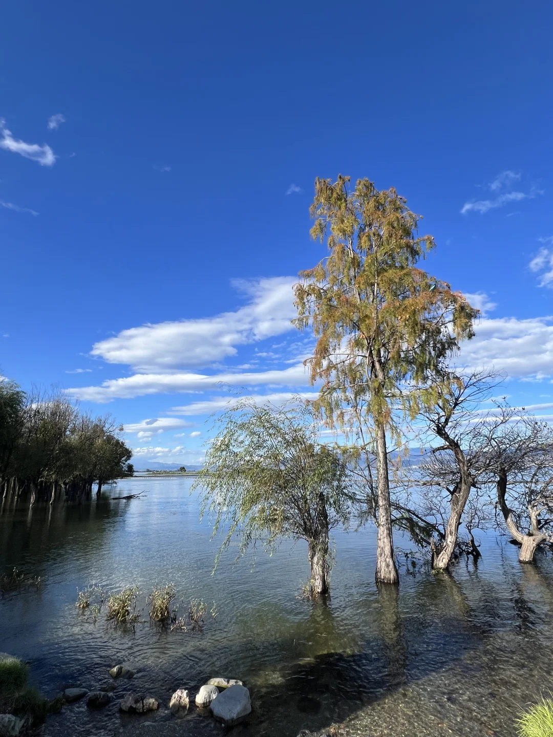 太原—云南7天旅游攻略