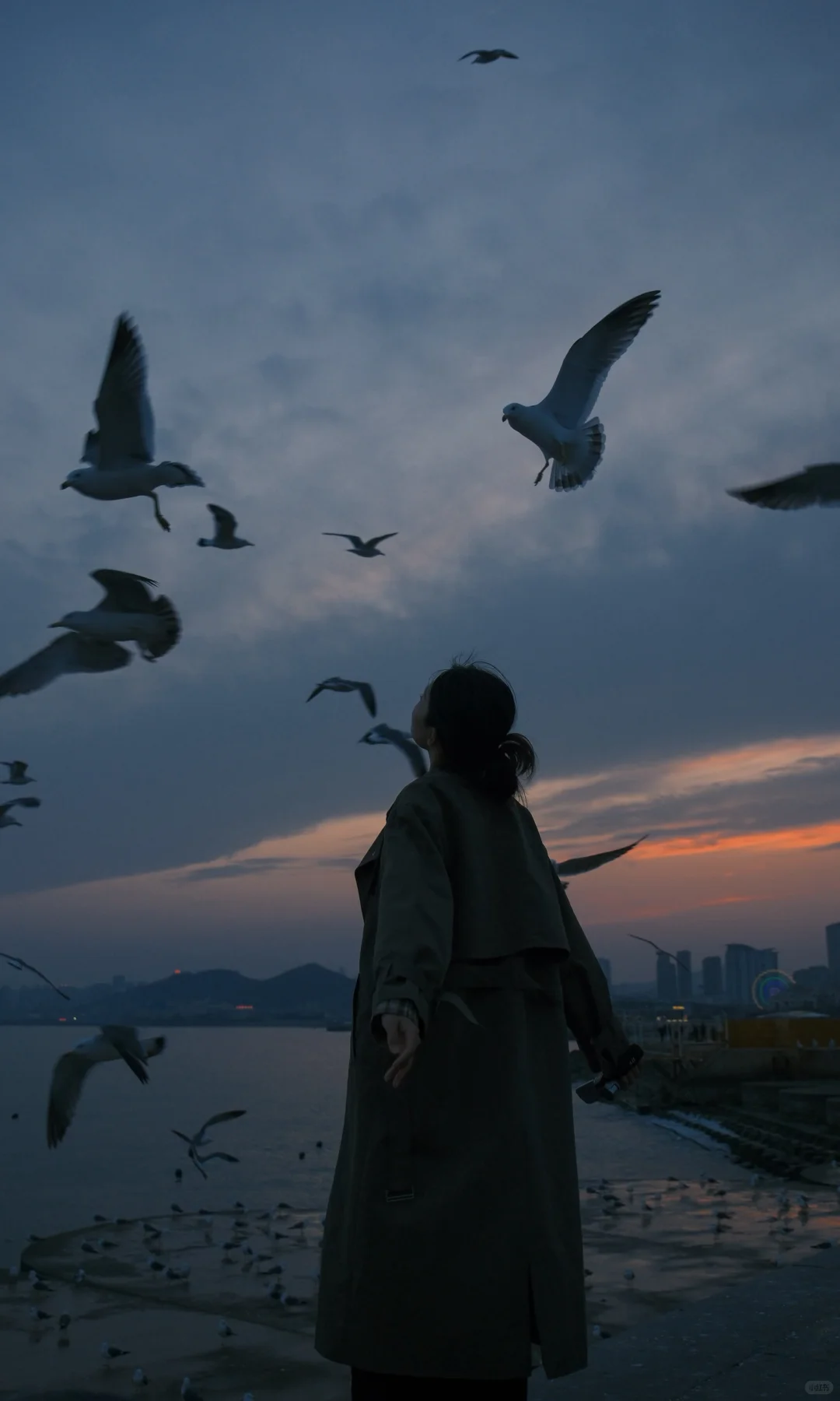 接下来的大连🌊