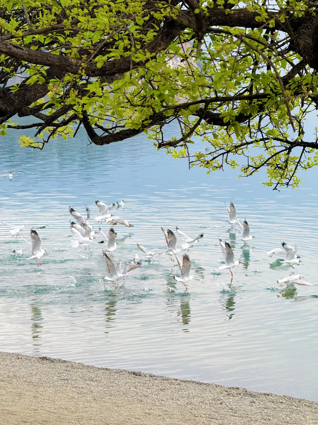 这辈子都舍不得删的live图…
