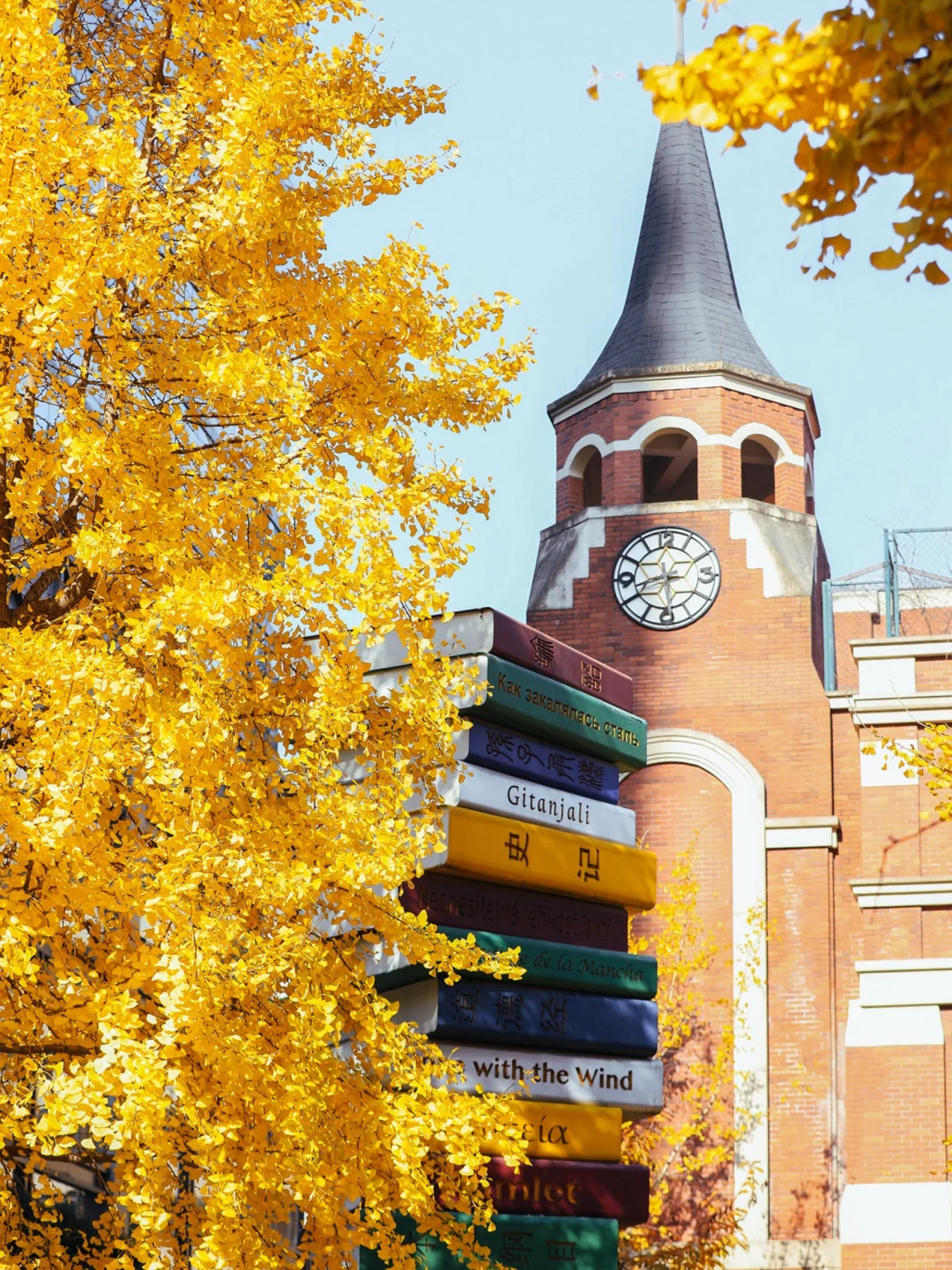 杭州最美的秋景都是免费的🍂附机位！