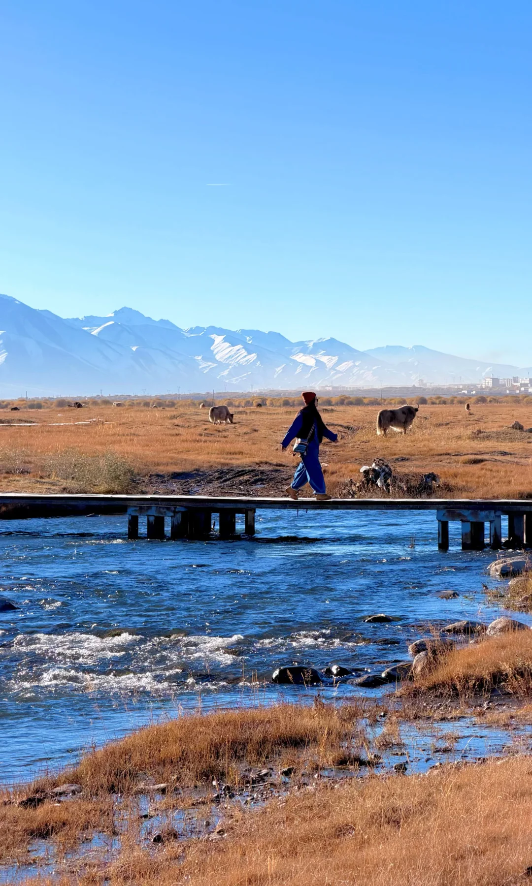 全屏live | 南疆秋天最好的地方都是免费的
