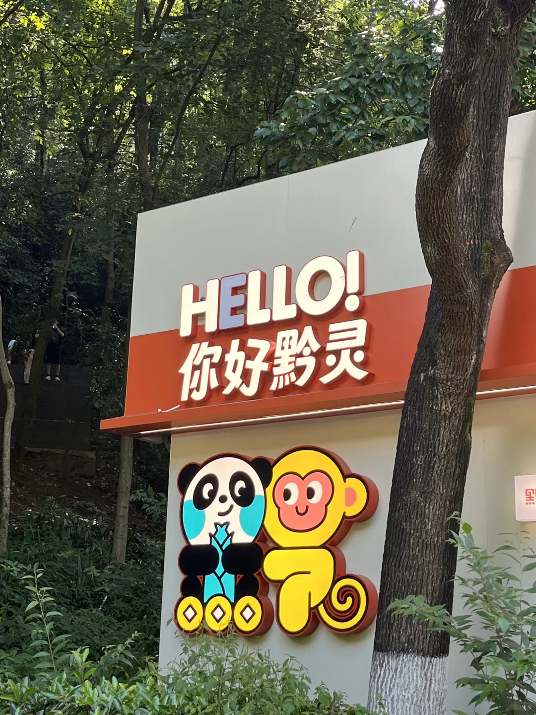 贵阳旅游真实感受（个人意见仅分享）