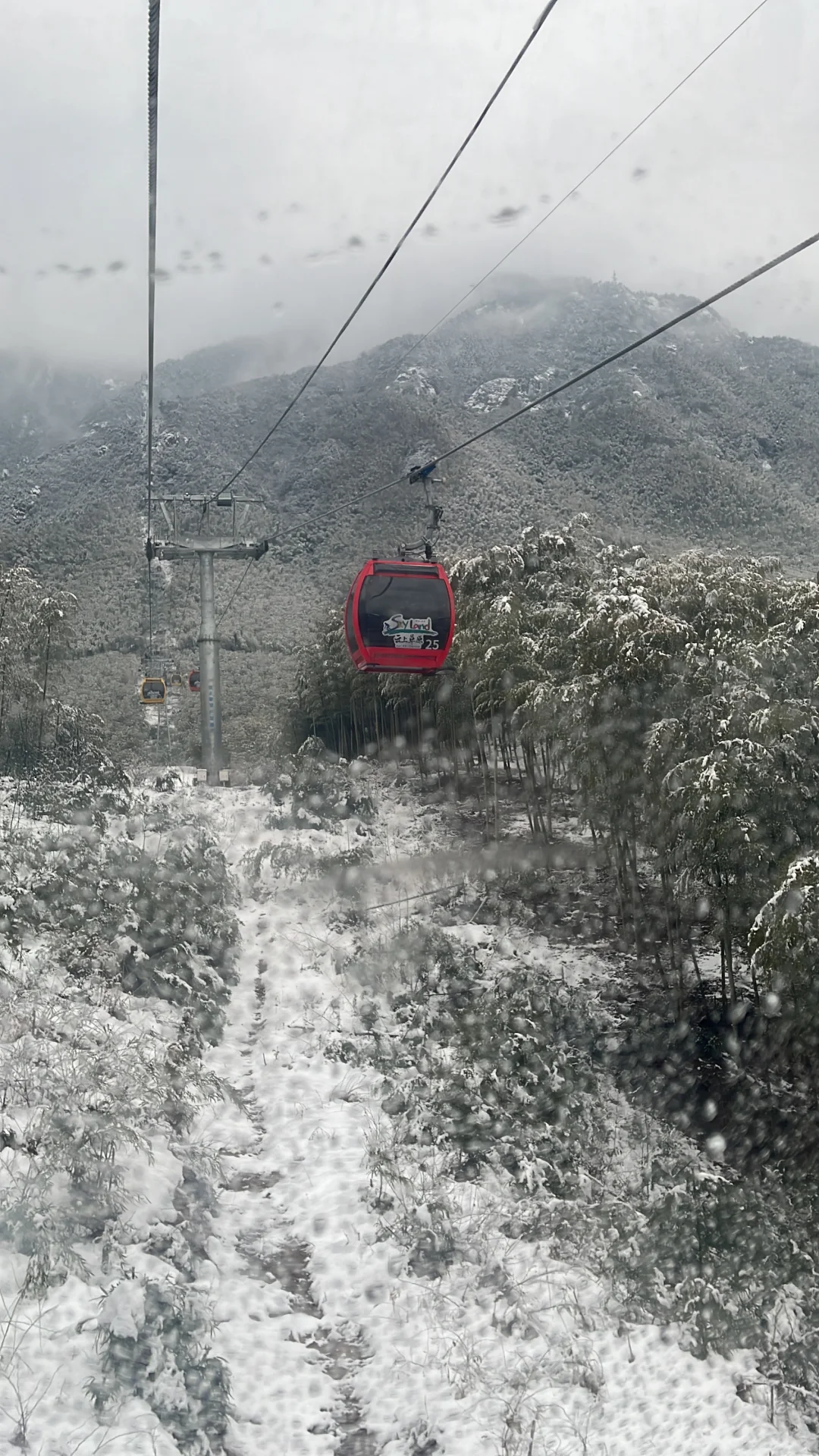 浙江安吉|江浙沪有自己的阿勒泰