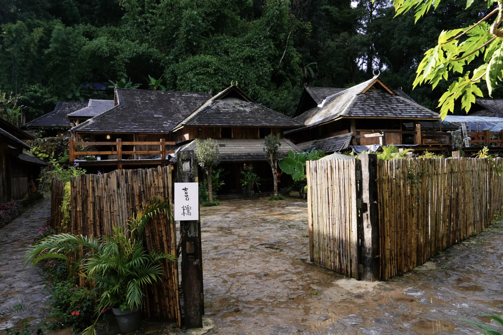 景迈山 ｜糯干古寨