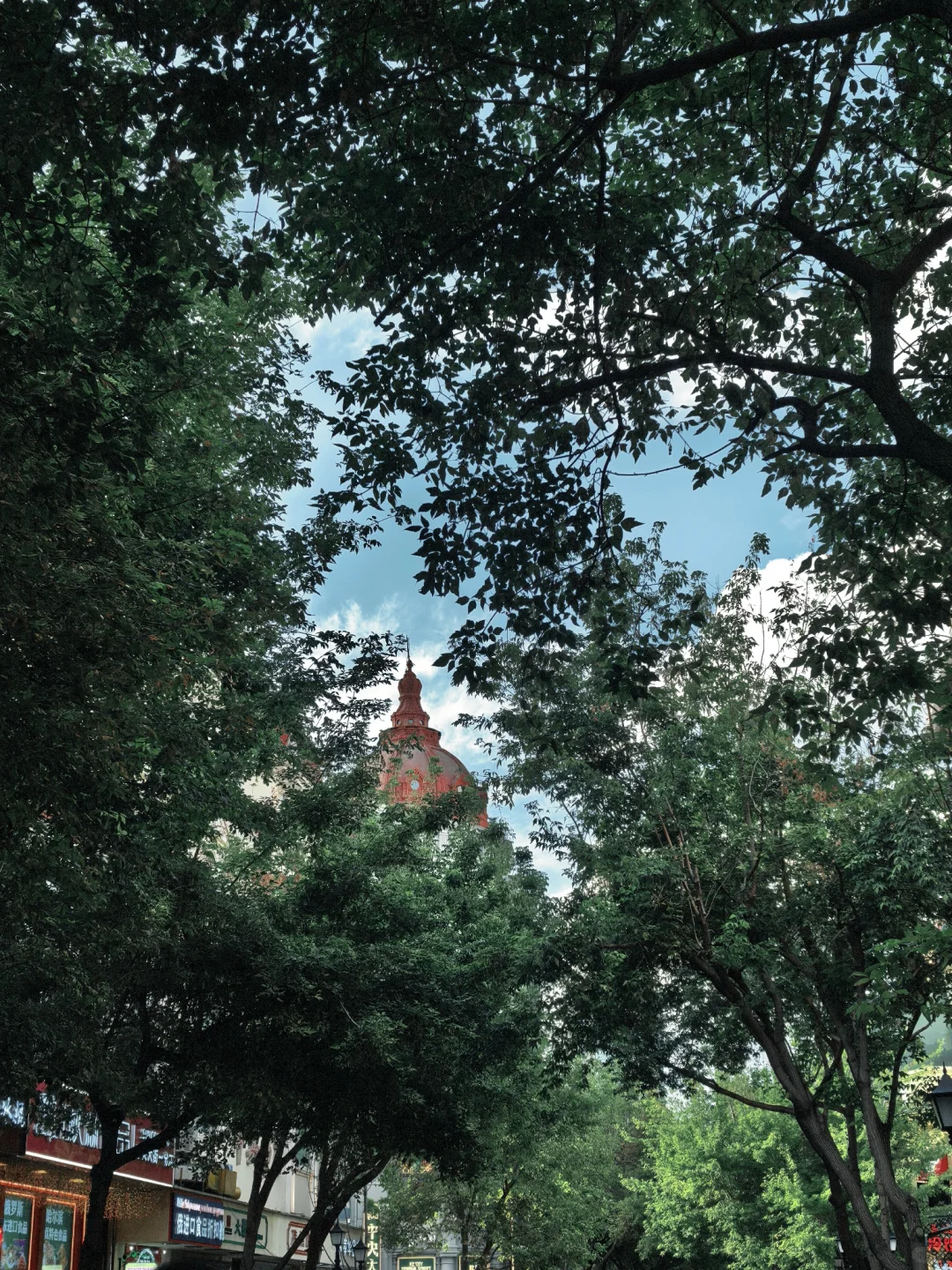 🌟哈尔滨3日慢游记（附路线攻略）