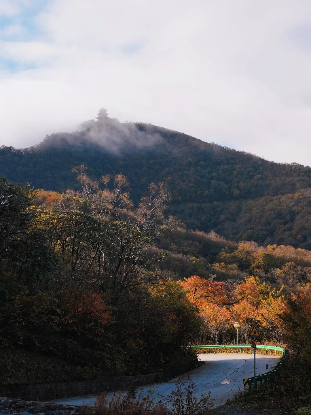 成都🚄一日往返油画彩林🍁徒步美哭了