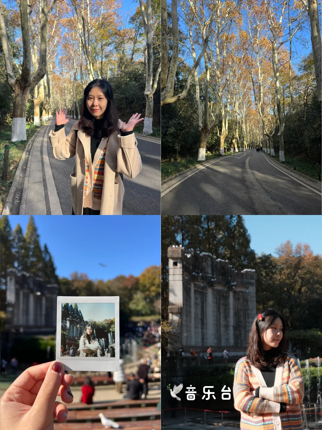 🍁南京四日游赏秋路线📍