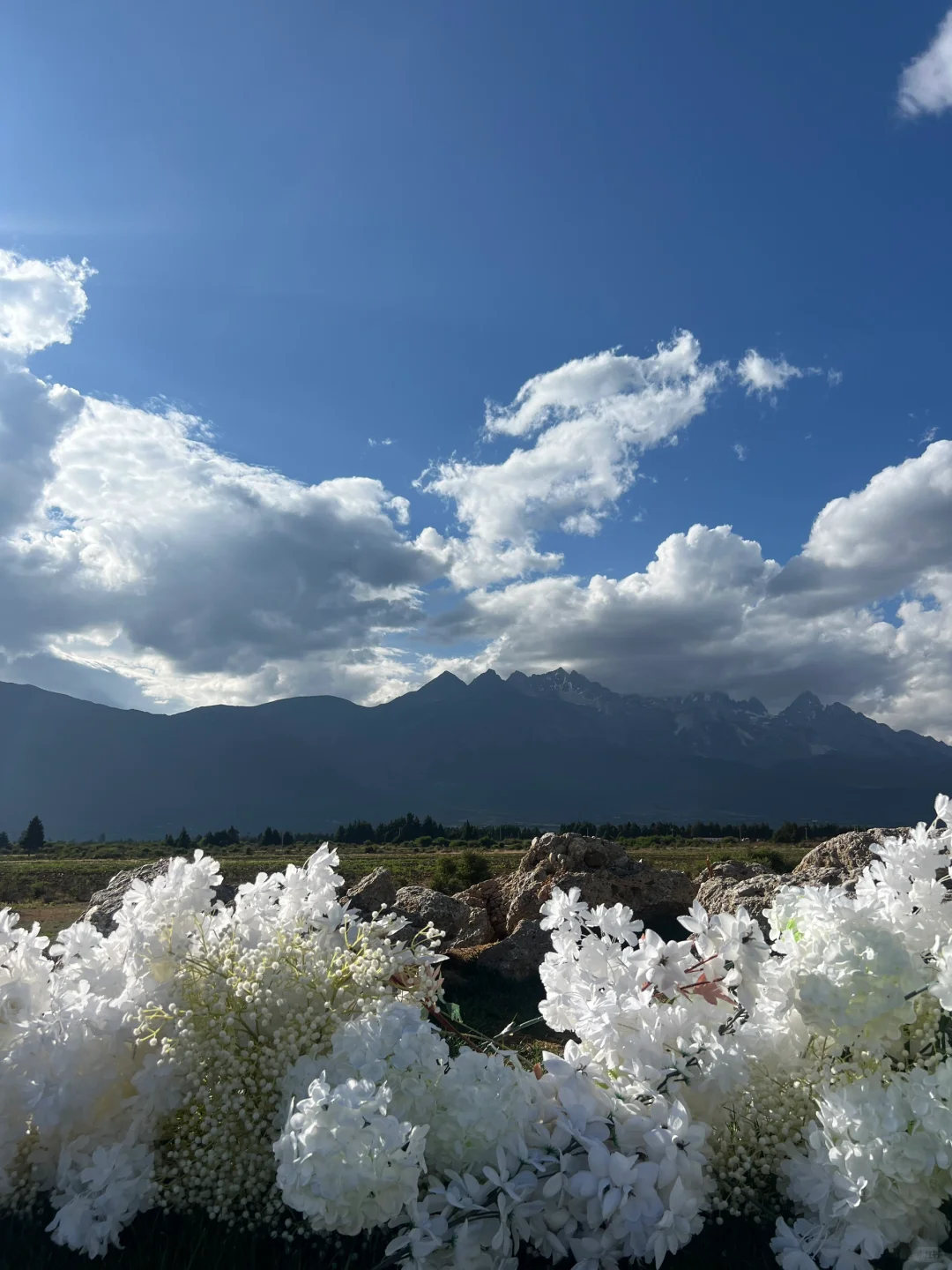 云南旅游攻略（大理+丽江）