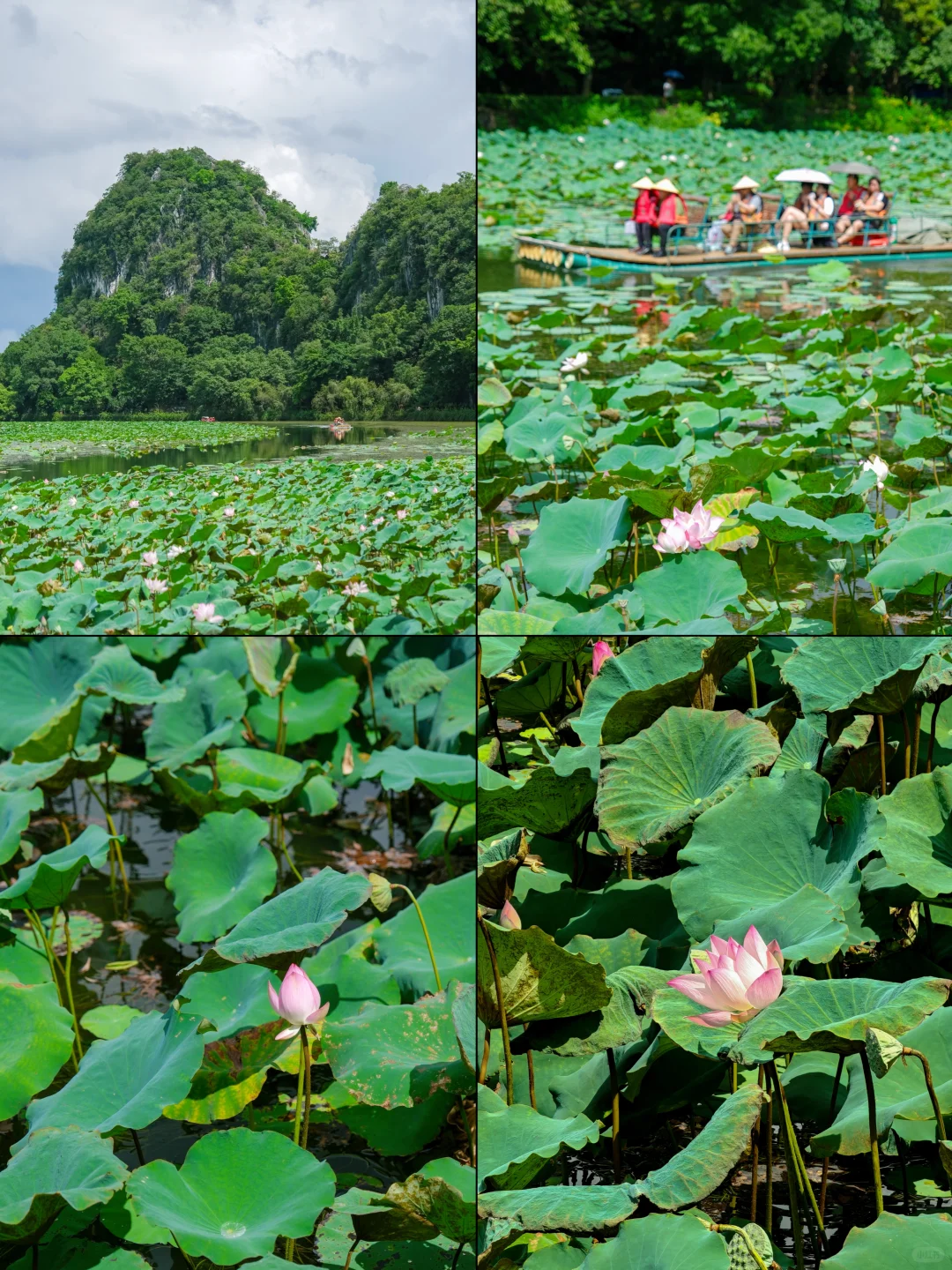 广东七星岩 | 舟行碧波上，人在画中游