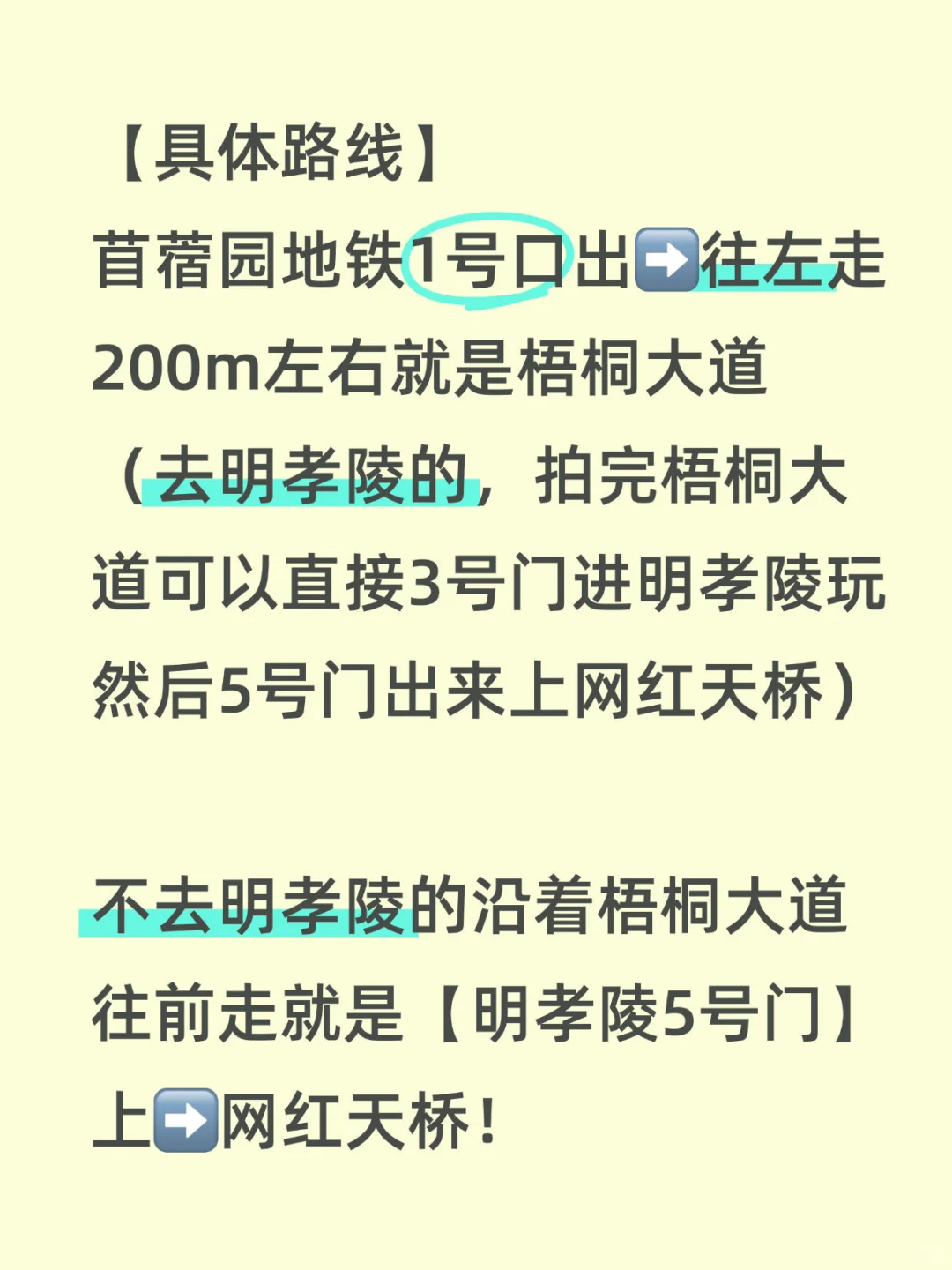 南京梧桐大道-网红天桥-音乐台🕊️最新攻略