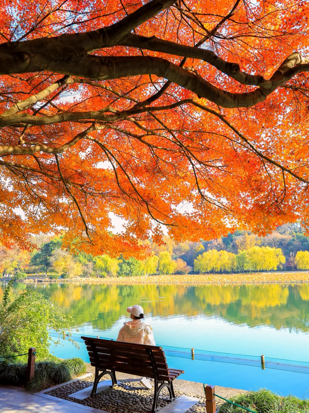 杭州最美的秋景都是免费的🍂附机位！