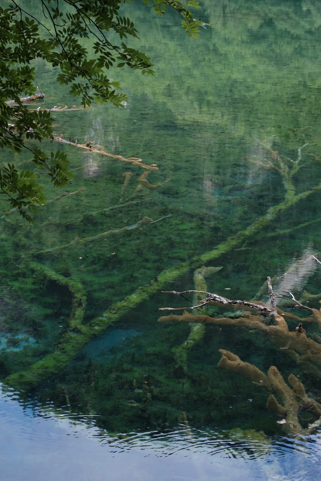 📍JiuZhaiGou 九寨沟