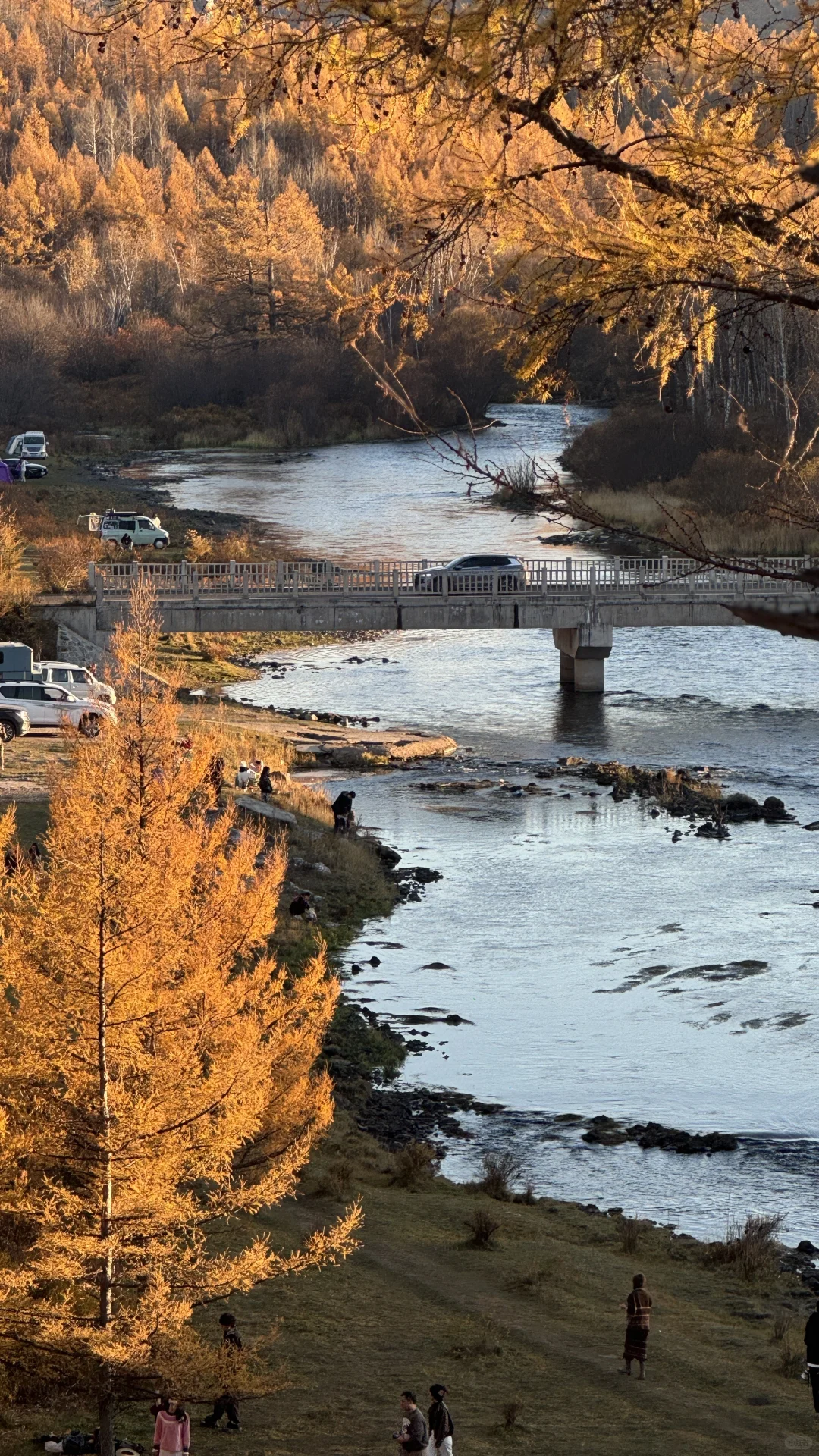阿尔山怎么美成这样🍂‼️