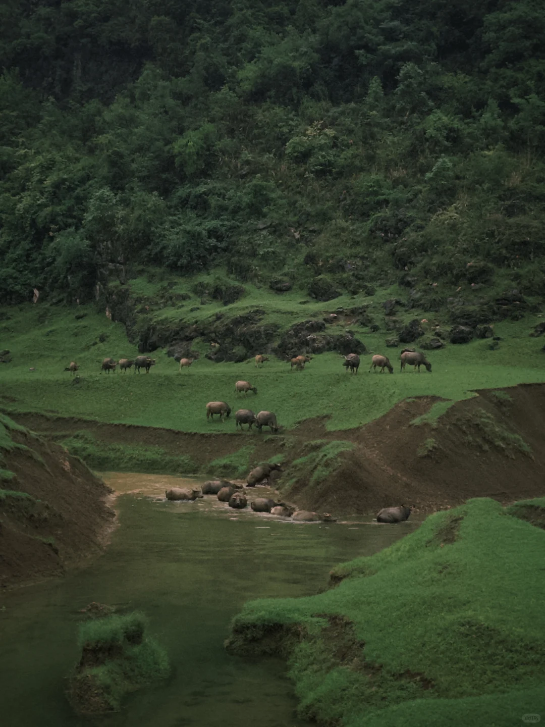 安顺不止黄果树！！这些景点才是贵州特色啊